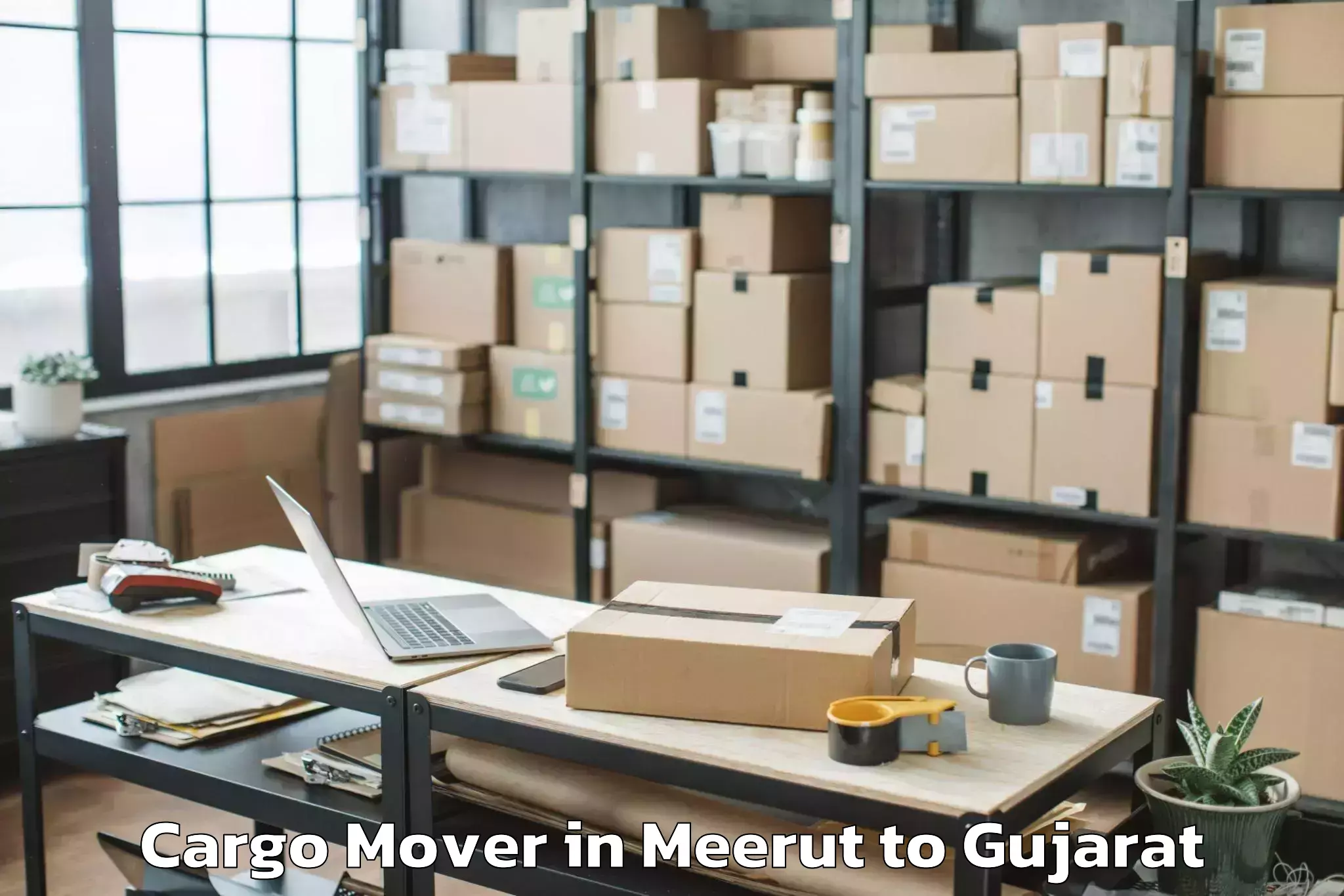 Book Meerut to Radhanpur Cargo Mover Online